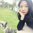 토마네 이미지