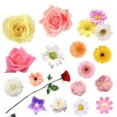 스티커포토샵 이미지