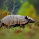 경이의세계 이미지