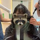 단골헤어 | 평택 고덕 내돈내산 찐단골 혜민헤어 후기