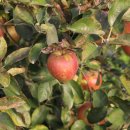 건널목 휴게실 이미지