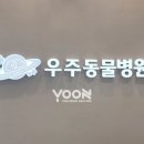 우주동물병원 이미지