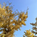 동원매운탕 이미지