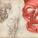 인천가톨릭대학교 대학원 이미지