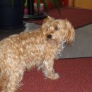 새롬민박 이미지