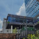 냥카페 묘연 이미지