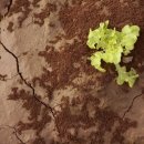 한국수자원공사-서산수도관리단 이미지