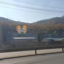 백향목교육