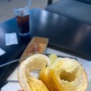 몰리힐스(MOLLI HILLS) 이미지