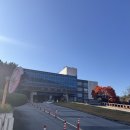 [용인] 늦가을 절경 보러, 단풍명소 한국외대 글로벌캠퍼스 오전 방문 후기 (24.11.16)