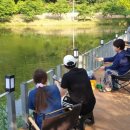 글램핑판 이미지