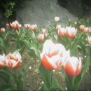 시민회관(앞) 이미지