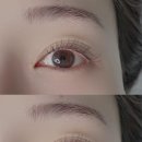블랙래쉬