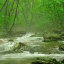 사람이 꽃보다 아름다워 이미지