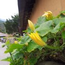 보릿고개마을 이미지