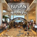 삼진자동차 | 부산 기장 가볼만한곳 일광 헤이스테이 애견동반 오션뷰 대형카페