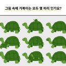 마리중학교 이미지