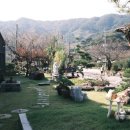 다온앤틱카페 이미지