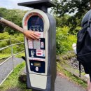 레인보우호텔(Rainbow Hotel) | 하와이 빅아일랜드 힐로 여행 코스 추천! 가볼 만한 곳