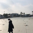 (유)장보고드림