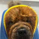 멍즈니랜드 이미지