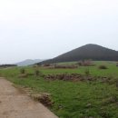 번창목장 이미지