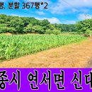 지성부동산중개 이미지