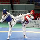 태권도 대한체육관 이미지