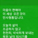 어제 그제 우중 2일간 걸음 이미지