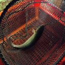 해적바다실내낚시터 | 울산 낚시 카페 겨울에도 춥지않게 즐기는 해적 바다실내낚시터