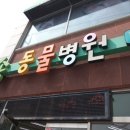 송 동물병원 이미지