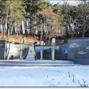 강화초지인삼영농조합