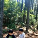 영차영차 이미지