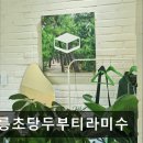 청정해수두부 | [경포대 카페] 강릉초당두부티라미수 강릉 초당두부의 새로운 맛 경험