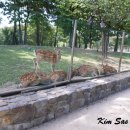 사슴방목장 이미지