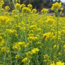 이연농장 이미지