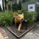 와일드 동물병원 이미지