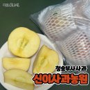 청송사과 신이사과농원 부사사과 꿀사과 맛있다