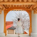 남해-129 | 여수 용월사 주차 벚꽃 포토존 방문 후기