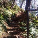 대원사뒤 성인봉 입구 이미지