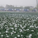 우박이네 이미지