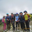 한강농원 이미지