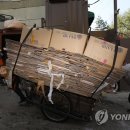최윤정부동산 | 제주도 부동산/토지 - "일본 '액티브 시니어' 소비 활발…한국 고령층은 쓸 돈 부족"