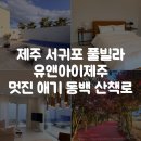 내창천 산책로화장실2 | 제주 서귀포 풀빌라 추천｜유앤아이제주 멋진 애기 동백 산책로 후기