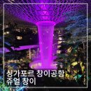 T3밸리 | [싱가포르 여행] 싱가포르 창이공항 쥬얼 창이 가는 방법 및 후기