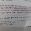 이원 비이원2 이미지