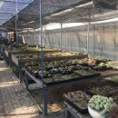 다미농장 이미지