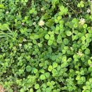 방화중학교 이미지