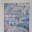 인천24시유앤미동물병원 | [동물병원리뷰] 인천24시유앤미동물의료센터, 강아지슬개골수술 잘하는 곳