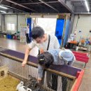 남면목장 | 남해 아기랑 추천 남해상상양떼목장 / 다랭이마을 주차 꿀팁